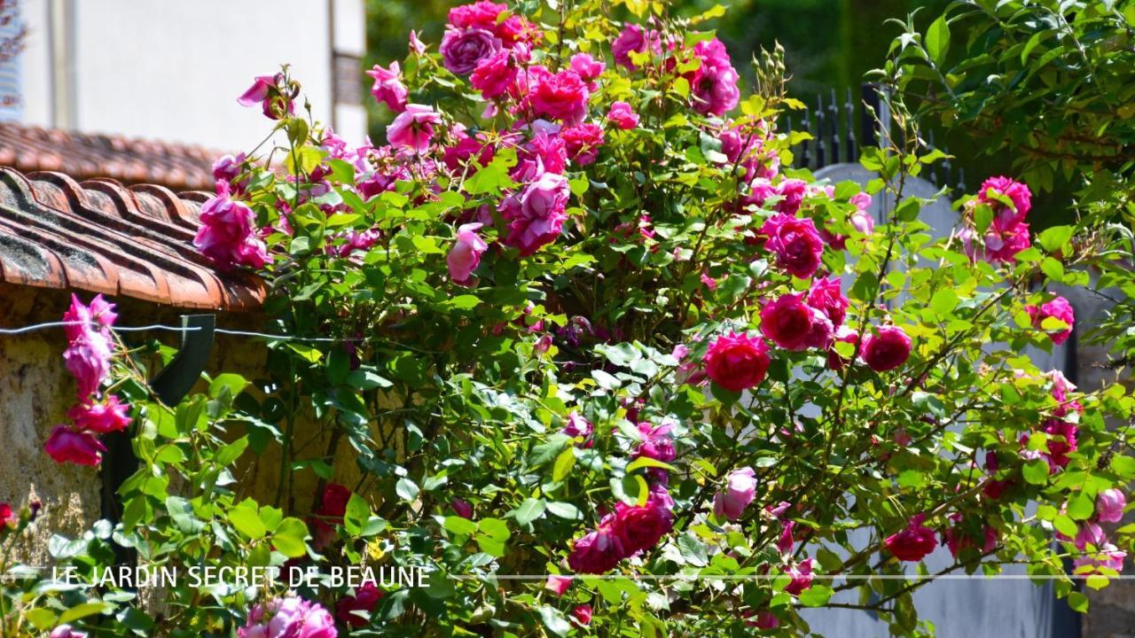 Le Jardin Secret De Beaune Бон Екстериор снимка